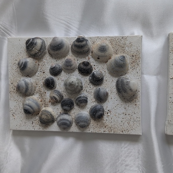 3 Pc Seashell Art, Beach Art, 3 Pieces 5x7 Wall Art, Hand Crafted Sea Shells - Picture 7 of 15